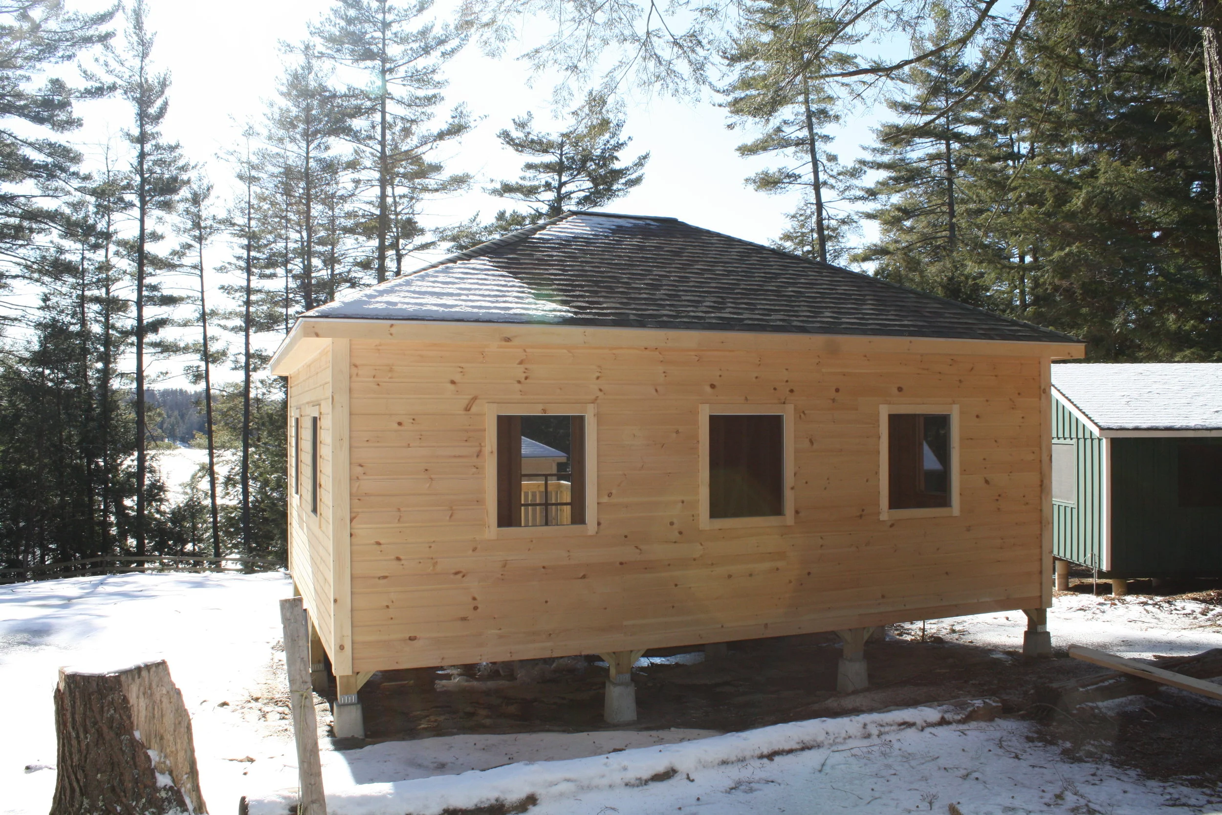Cabins in the Woods