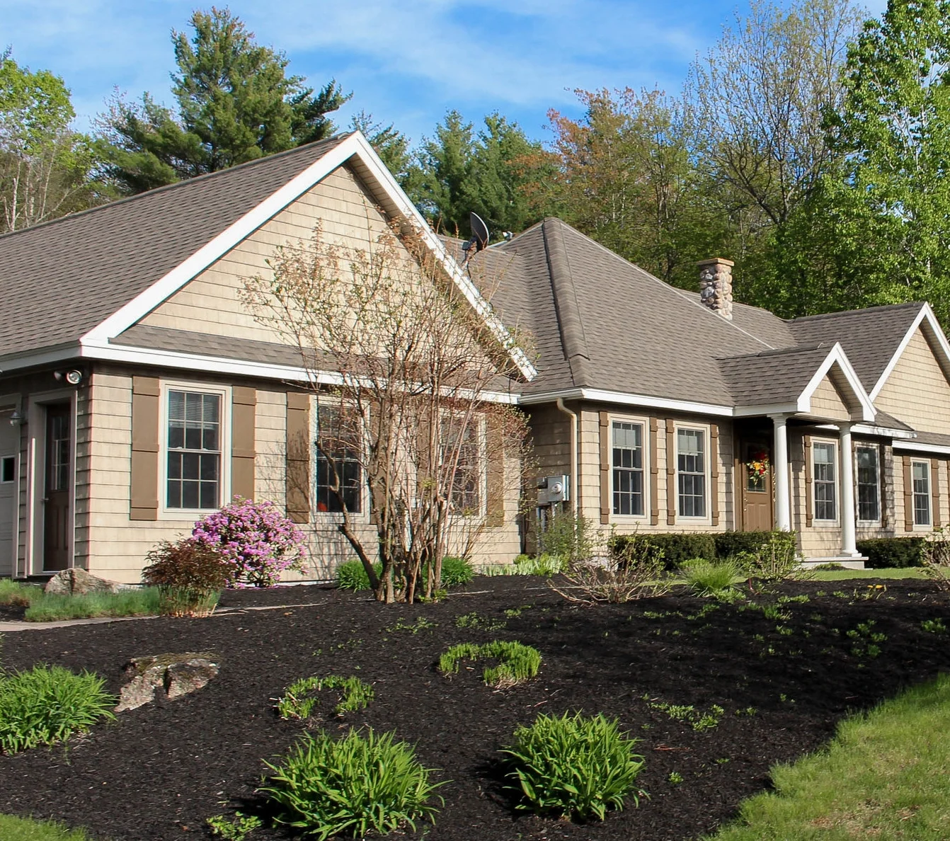 House Option 1.jpg
