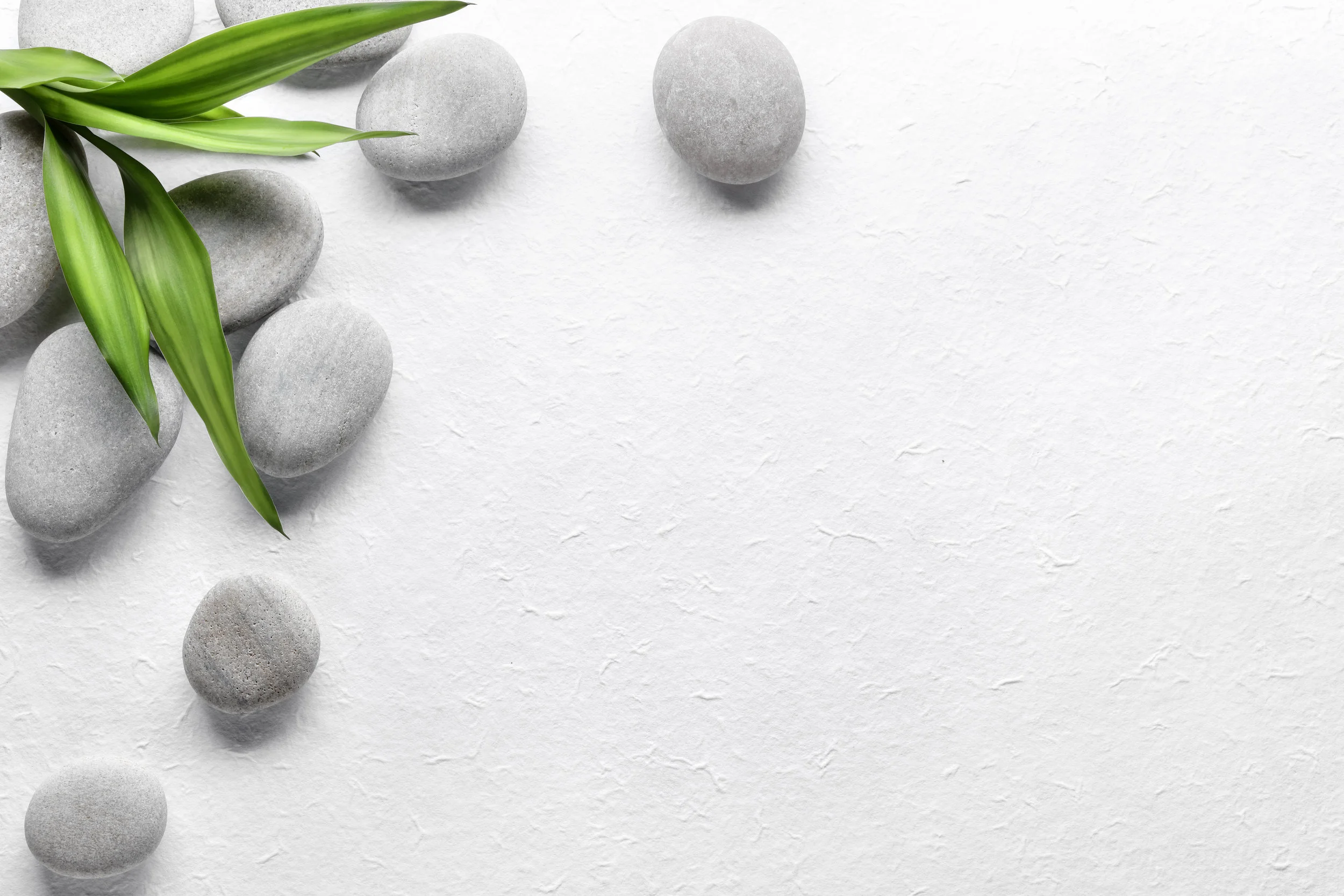 shutterstock_426080644 copy.jpg