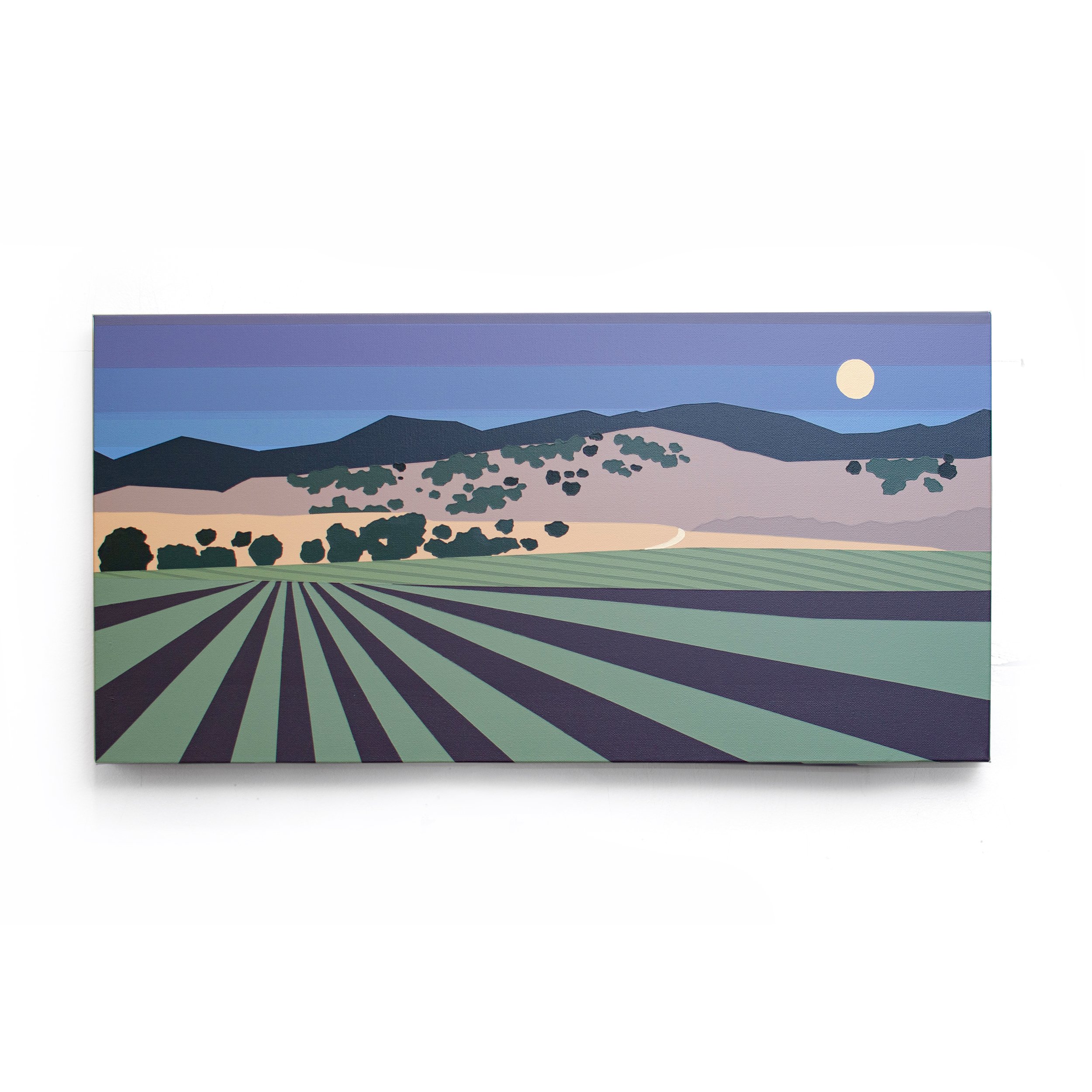 Ytterberg - Night Watch Vines.jpg