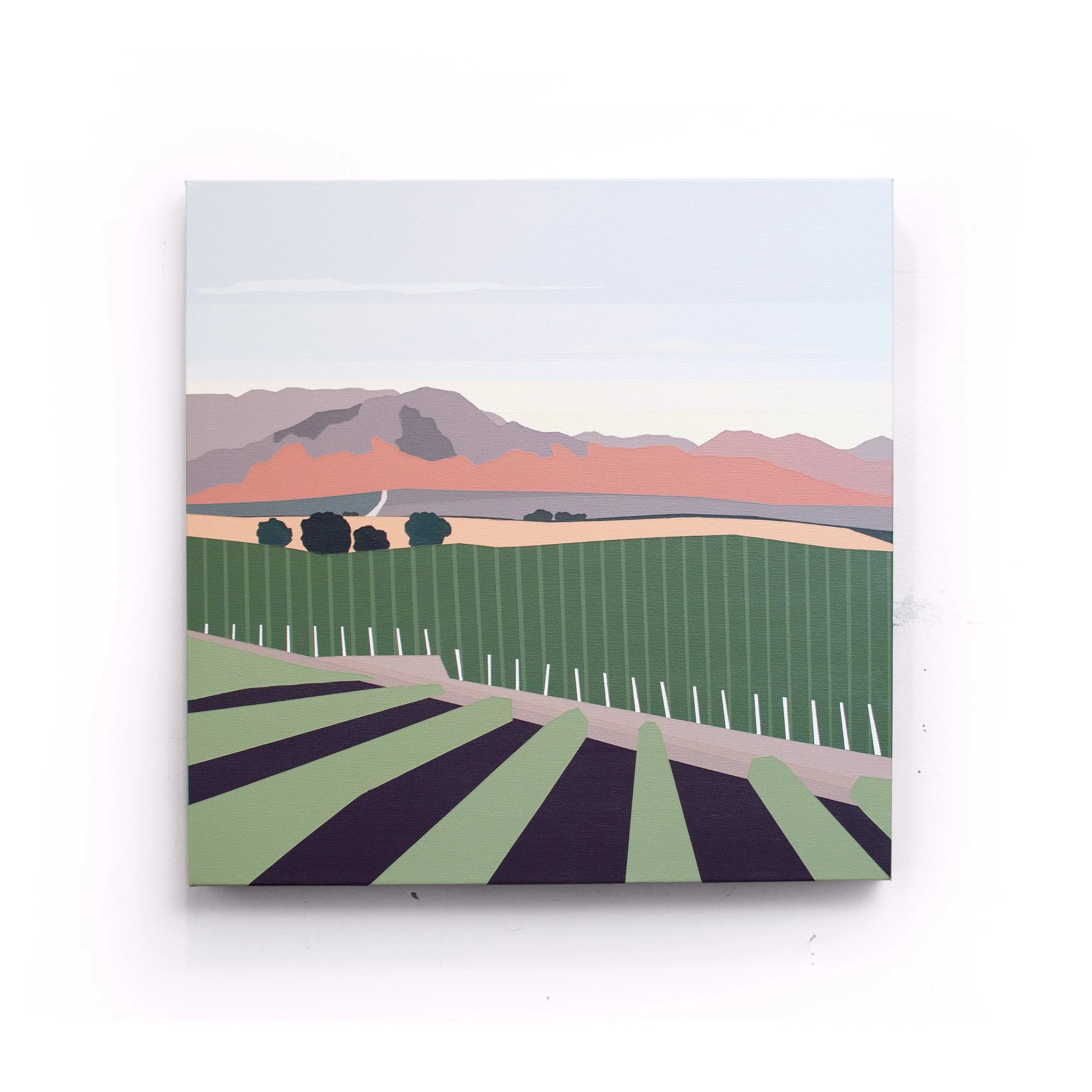 Ytterberg - SunsetOvertheVines.jpg