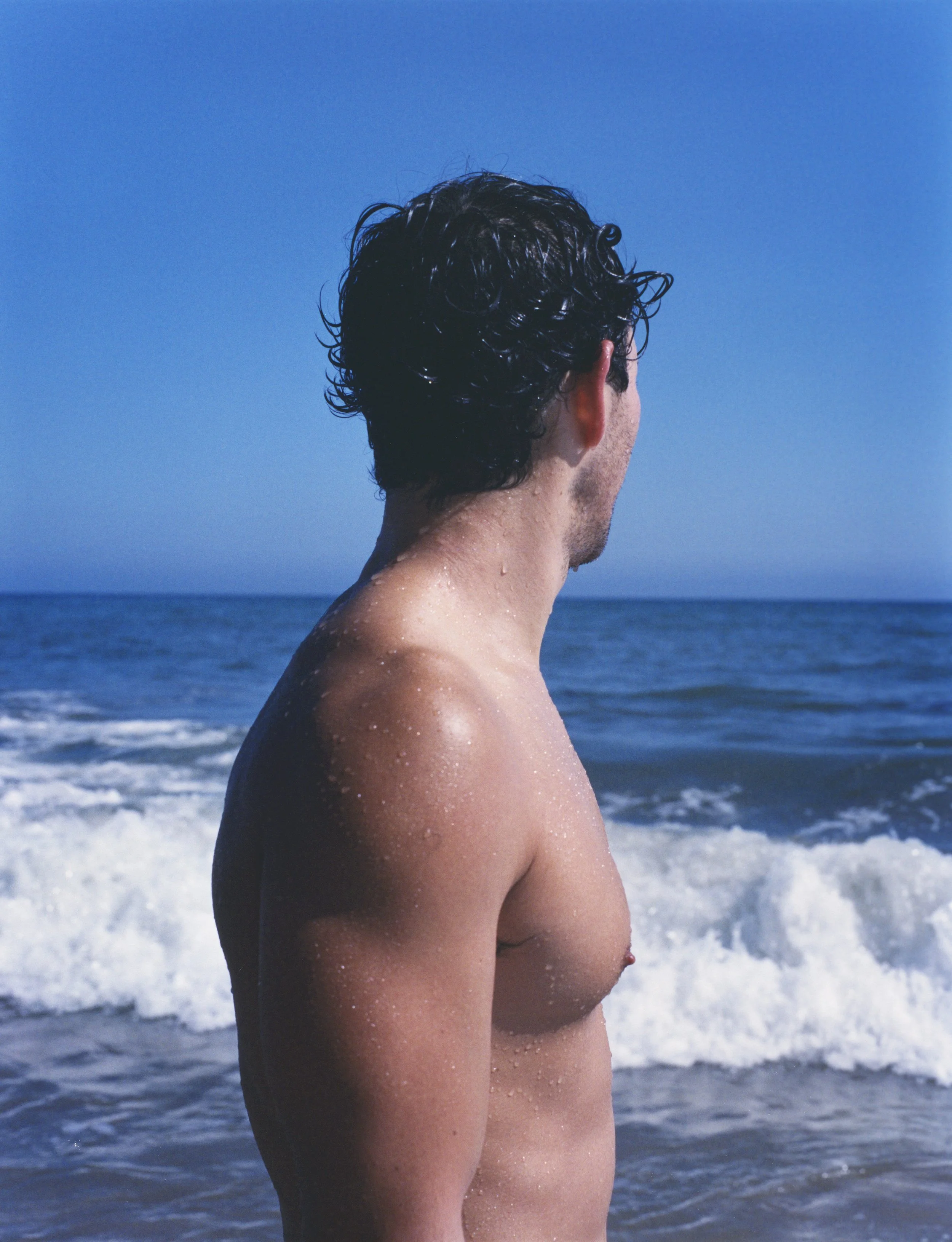 David More Mesa website.jpg