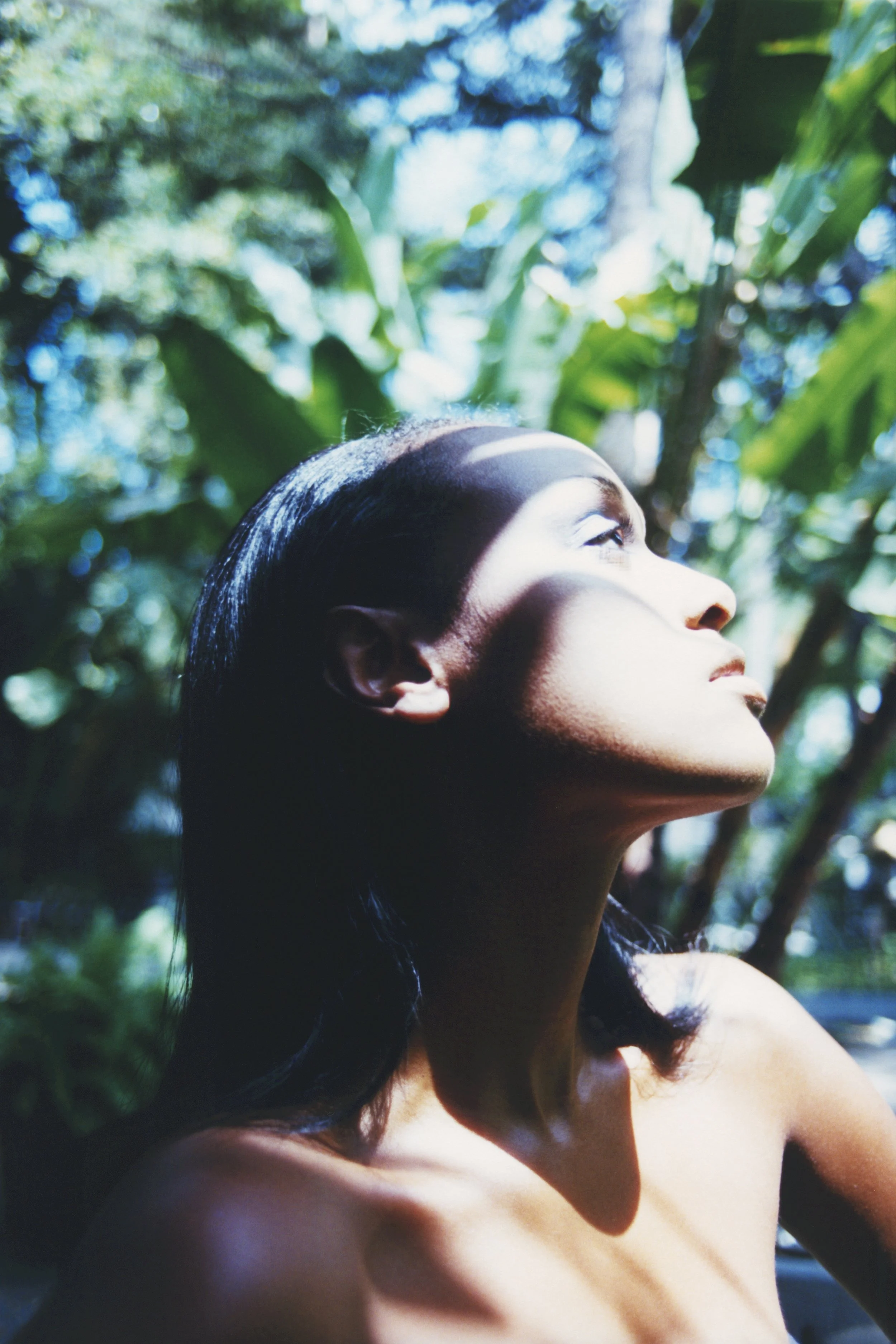 halleta reprint v2 copy 2.jpg