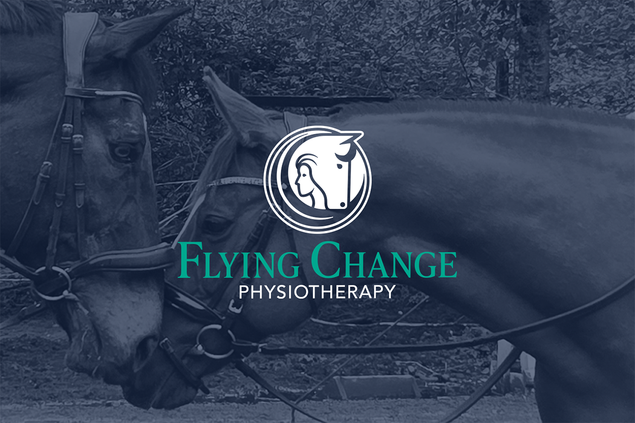 FlyingChange_Cover.png