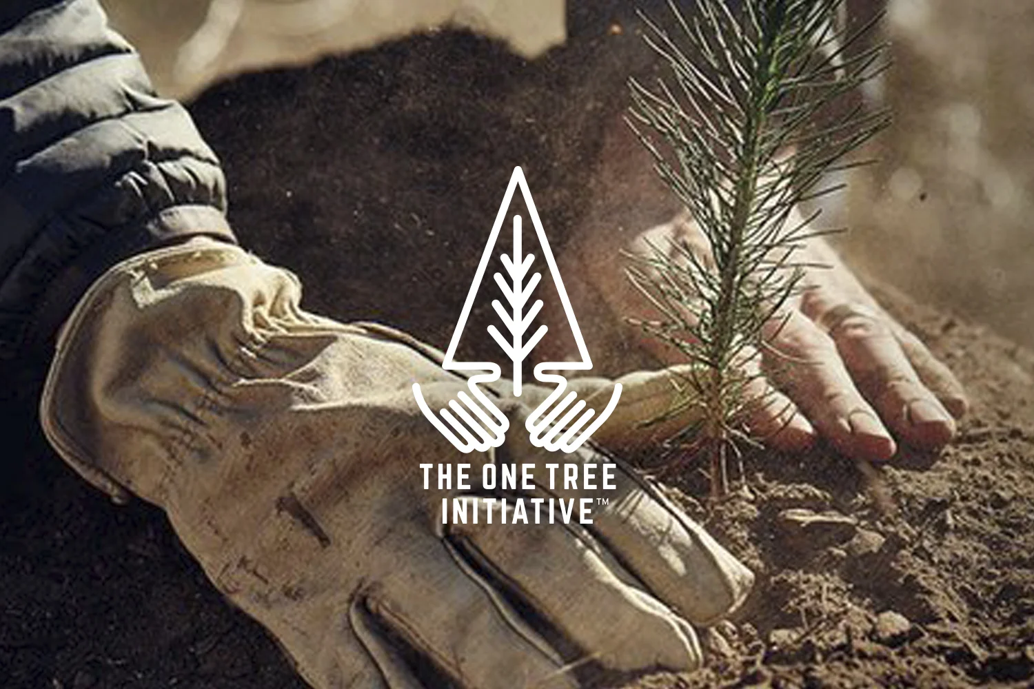 OneTree_Cover.jpg