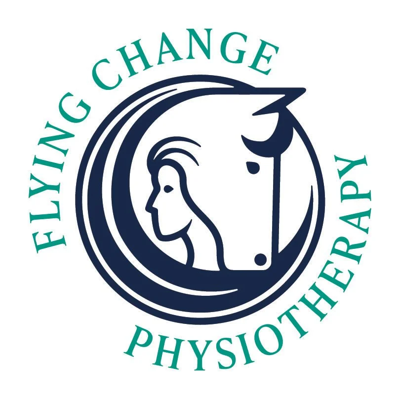 FlyingChange_Logo2-07.jpg