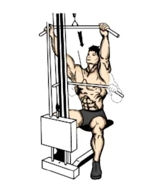 lat-pull-down1.jpg