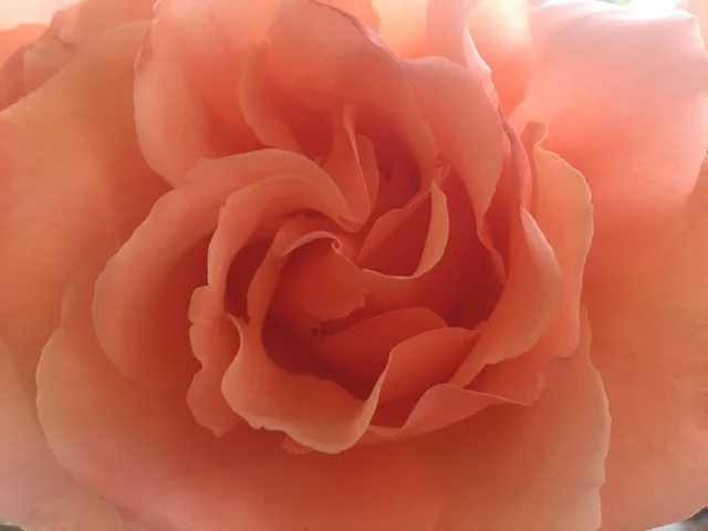 Marianne's Three Favorite Things: June 2019