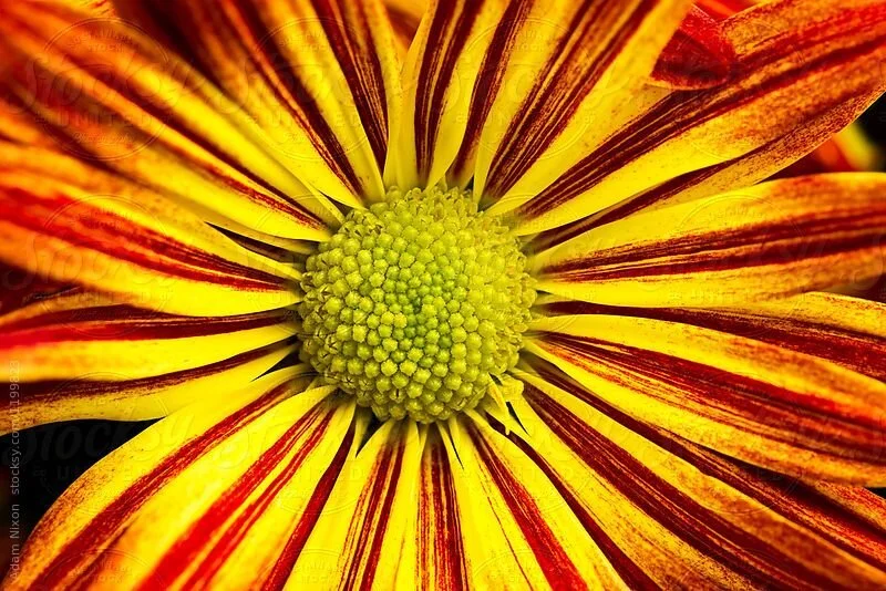 Marianne's Three Favorite Things: September 2021