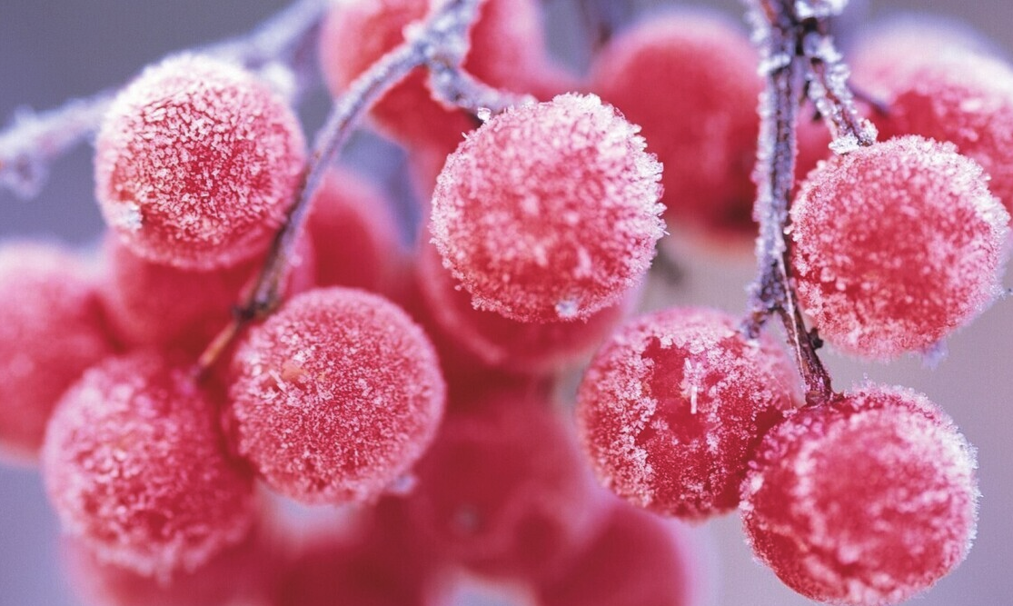 Marianne's Three Favorite Things: NOVEMBER 2022 