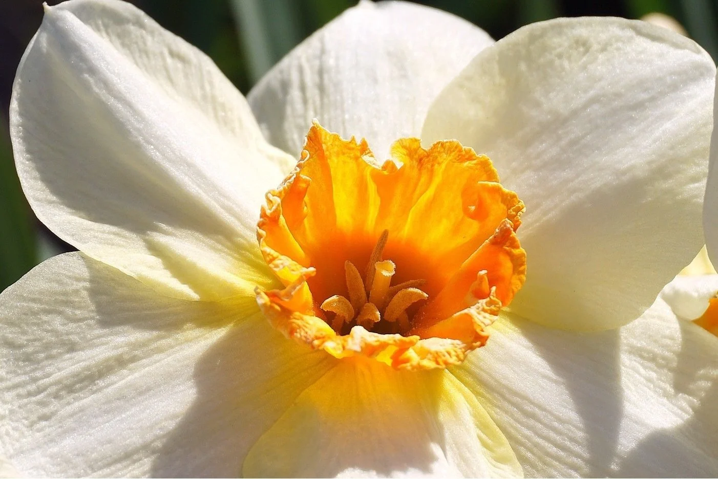 Marianne's Three Favorite Things: February 2024 