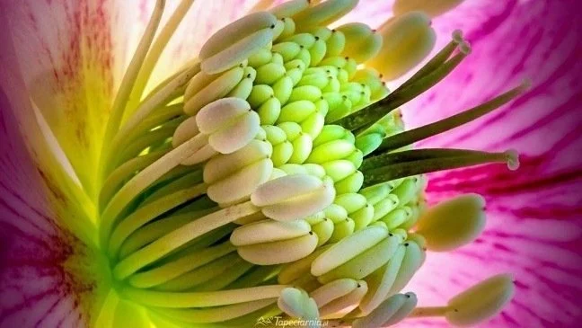 Marianne's Three Favorite Things: April 2024