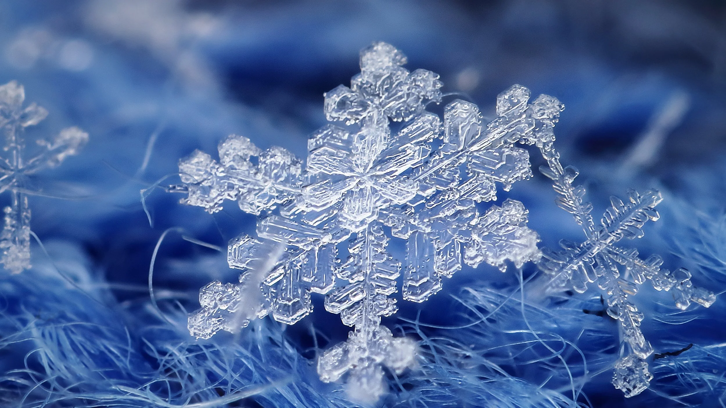 Marianne's Three Favorite Things: December 2021