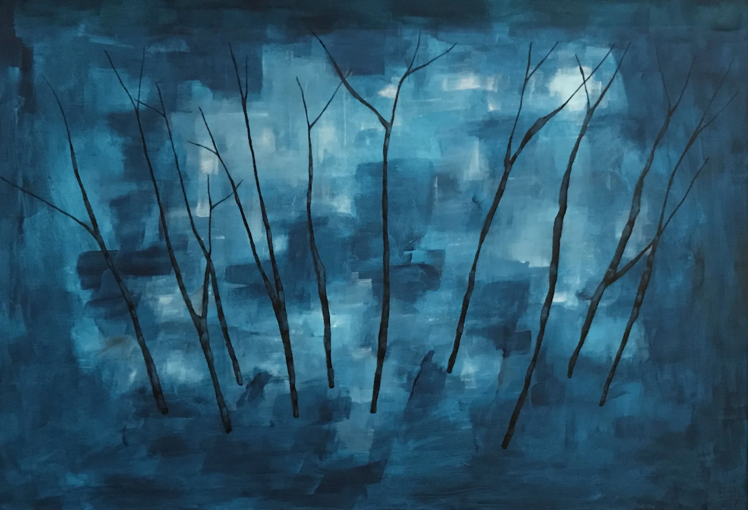 FOREST SERIES 1