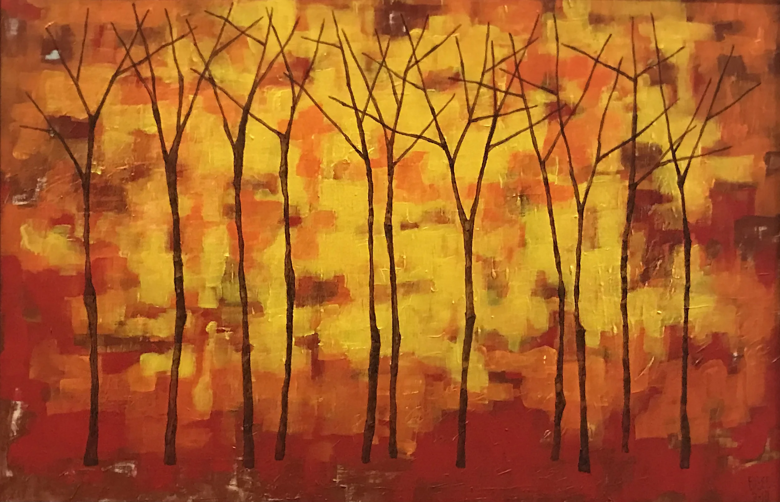 FOREST SERIES 3