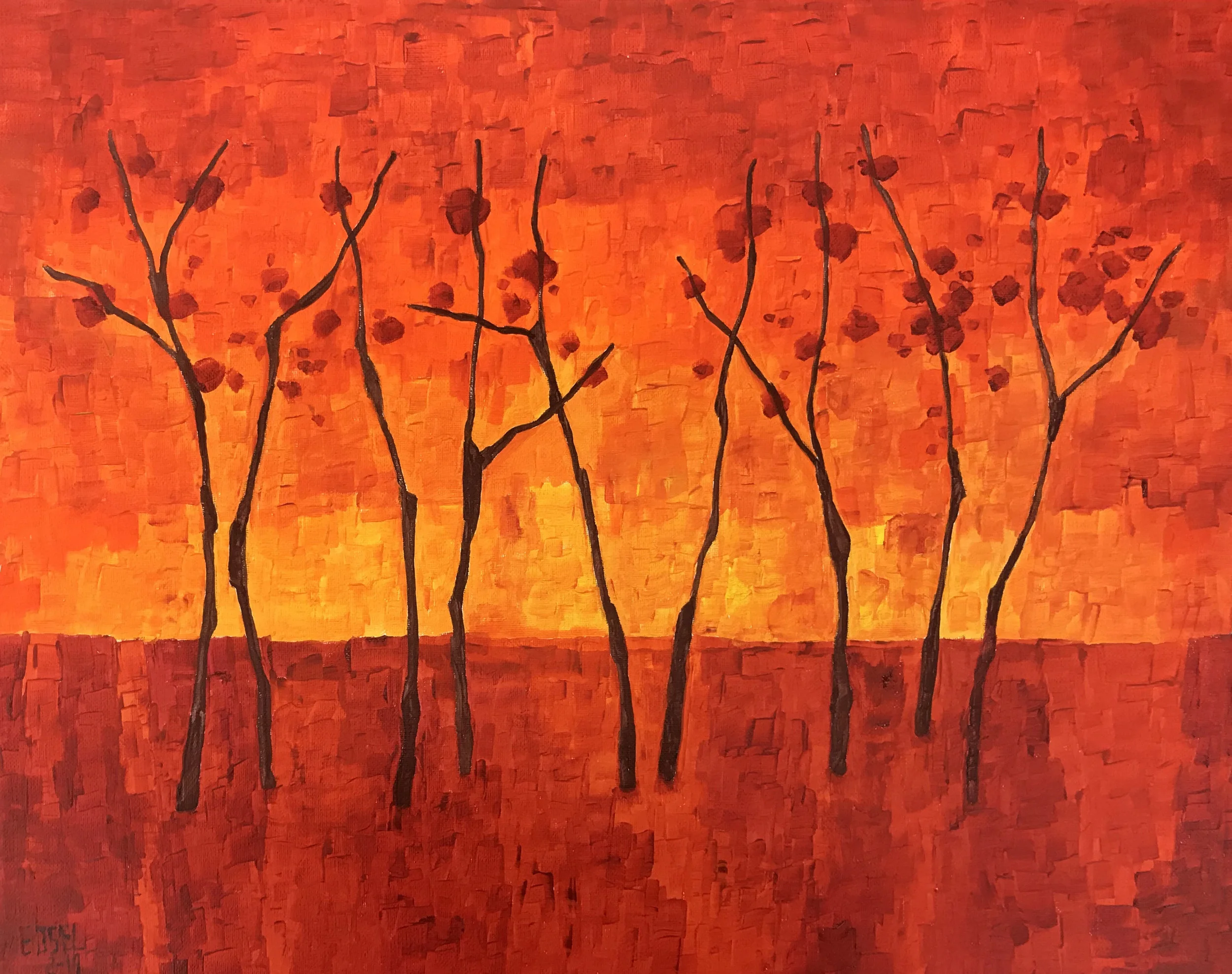 FOREST SERIES 24