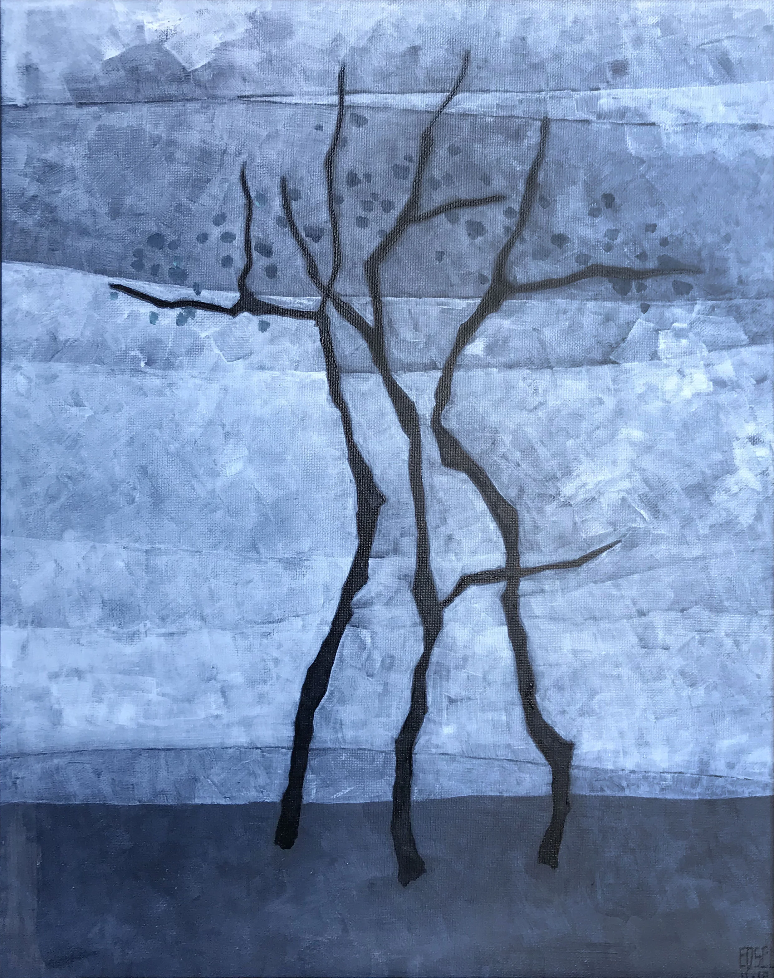 FOREST SERIES 27