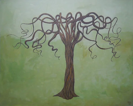 CORKSCREW TREE