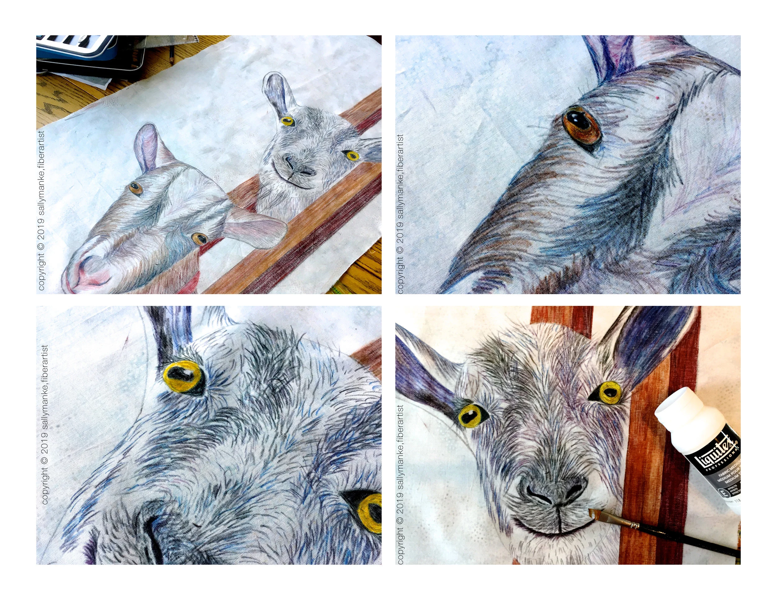 step 3 goat.jpg