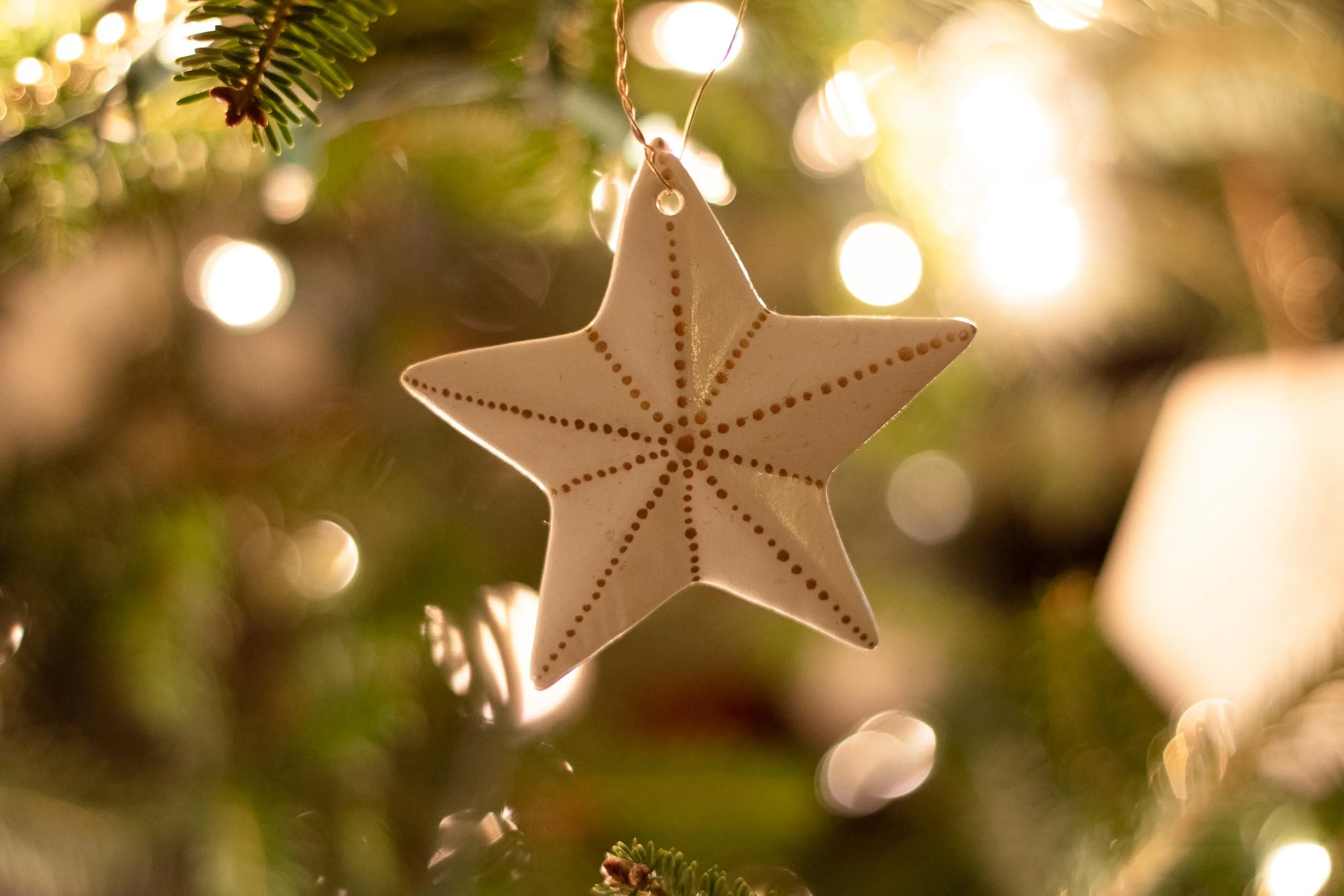 Beveled Star Ornament - on Tree - Web-48.jpg