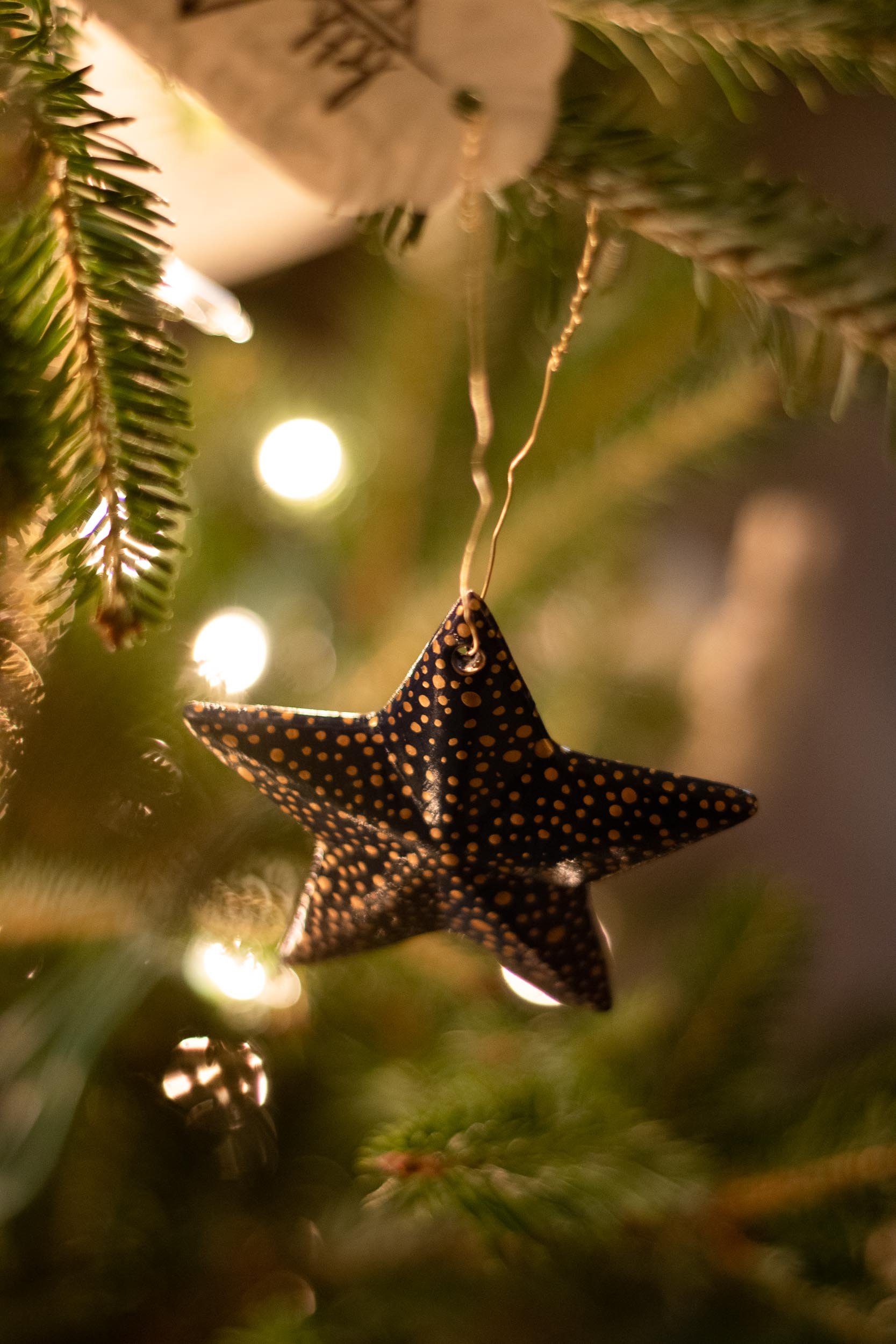 Beveled Star Ornament - on Tree - Web-66.jpg