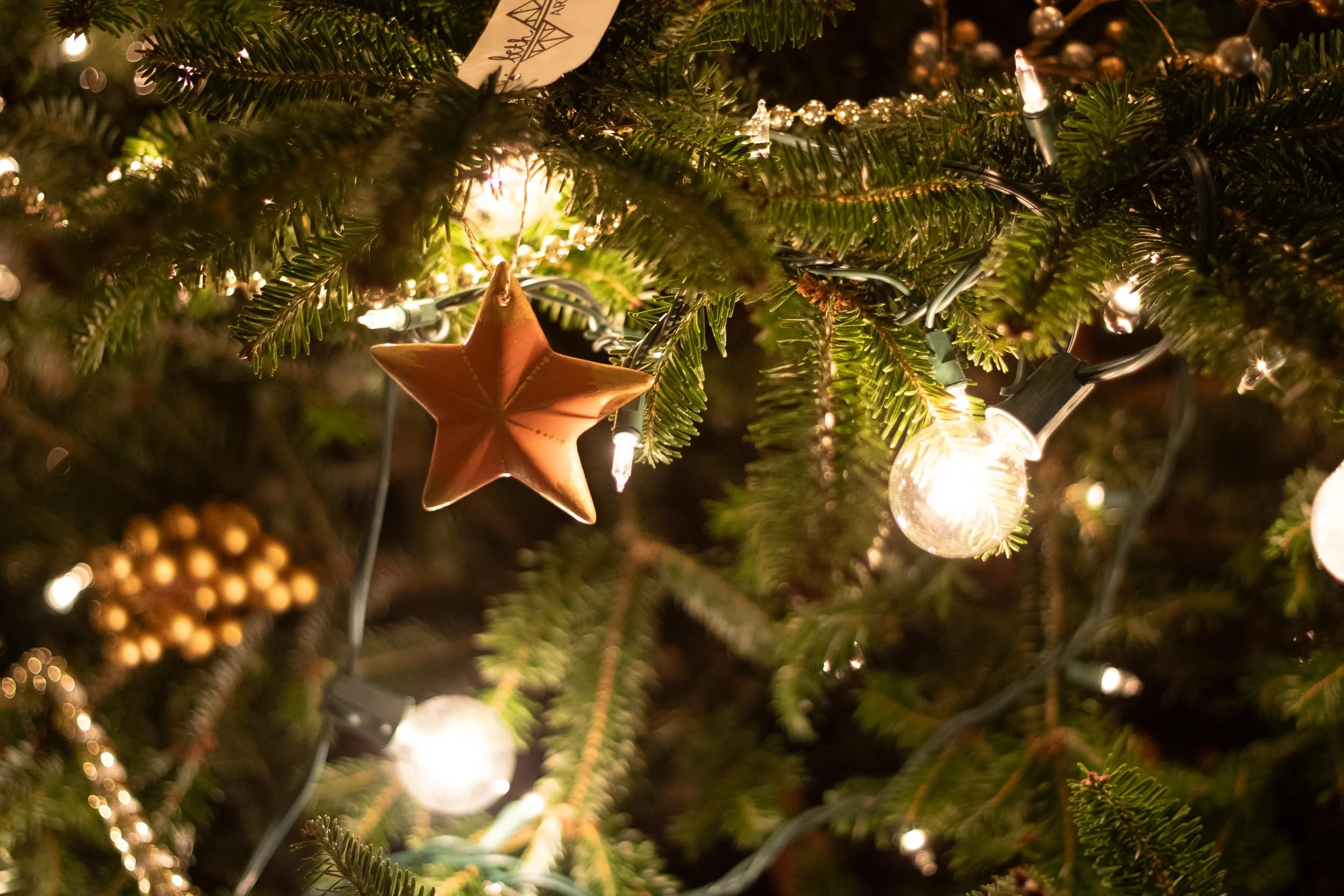 Beveled Star Ornament - on Tree - Web-04.jpg