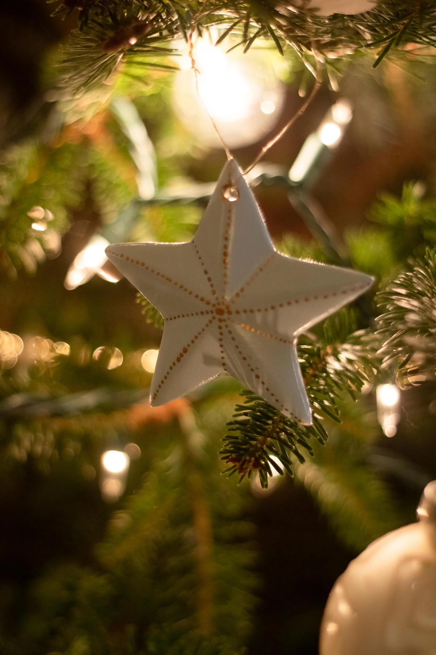 Beveled Star Ornament - on Tree - Web-62.jpg