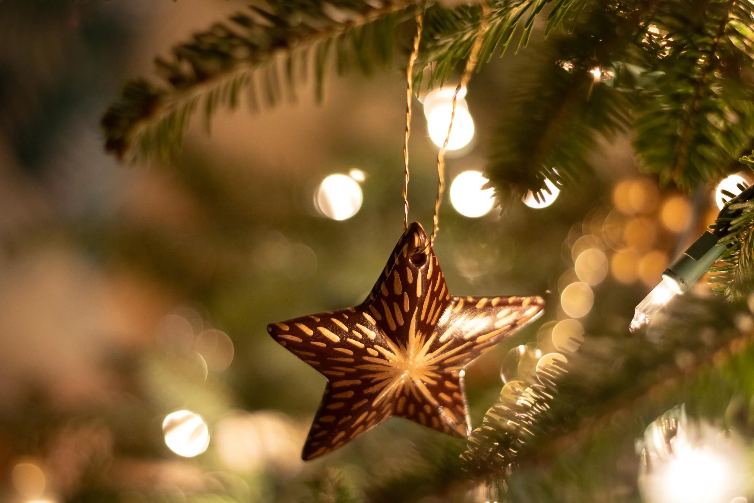 Beveled Star Ornament - on Tree - Web-46.jpg