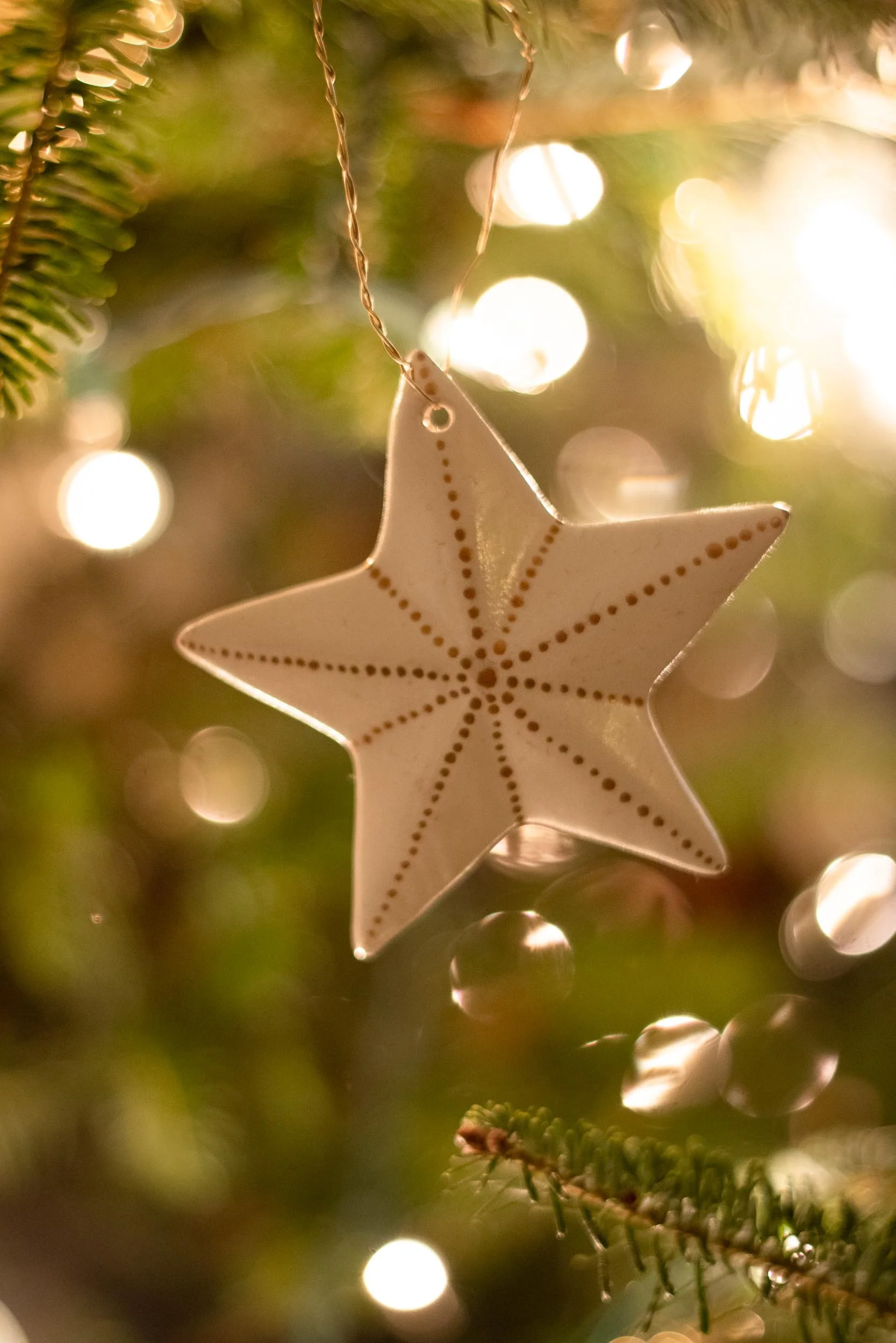 Beveled Star Ornament - on Tree - Web-49.jpg