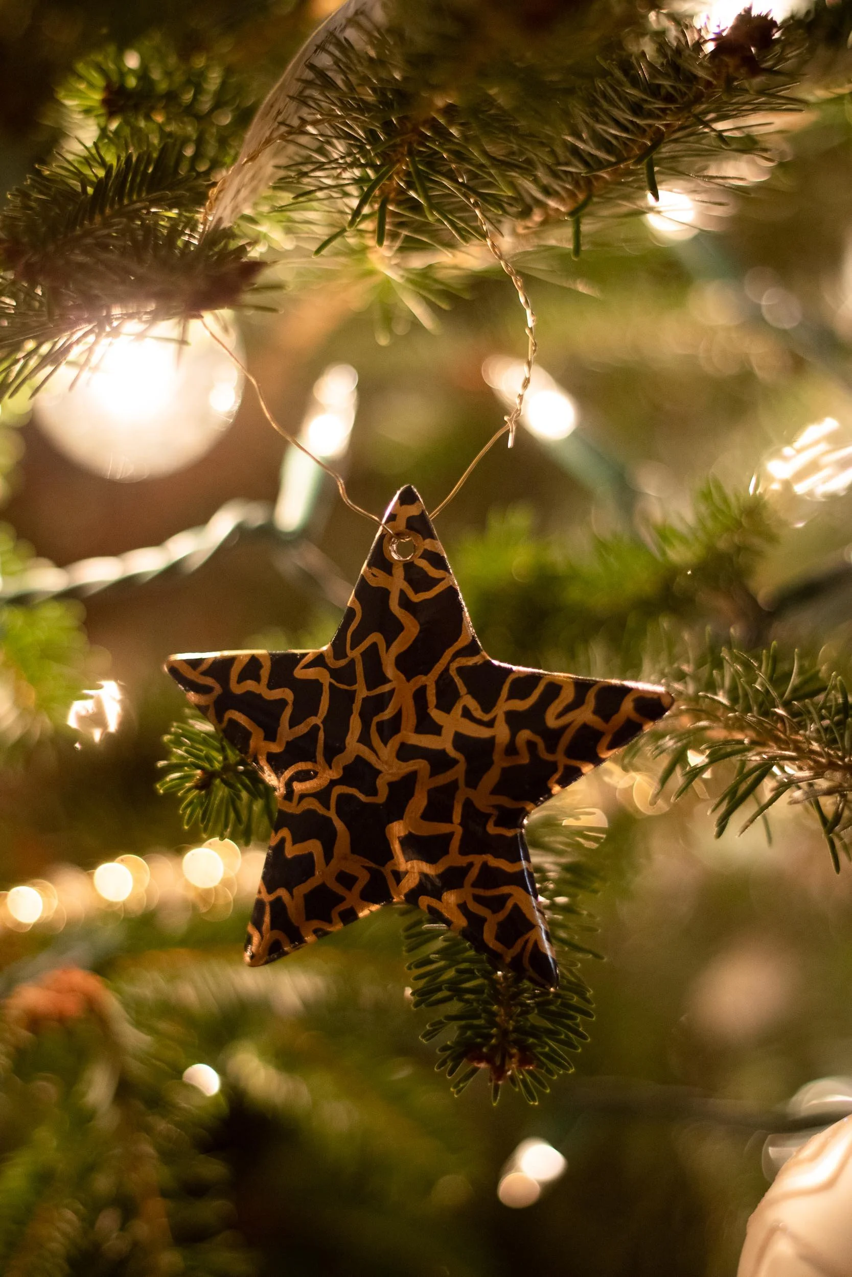 Beveled Star Ornament - on Tree - Web-69.jpg