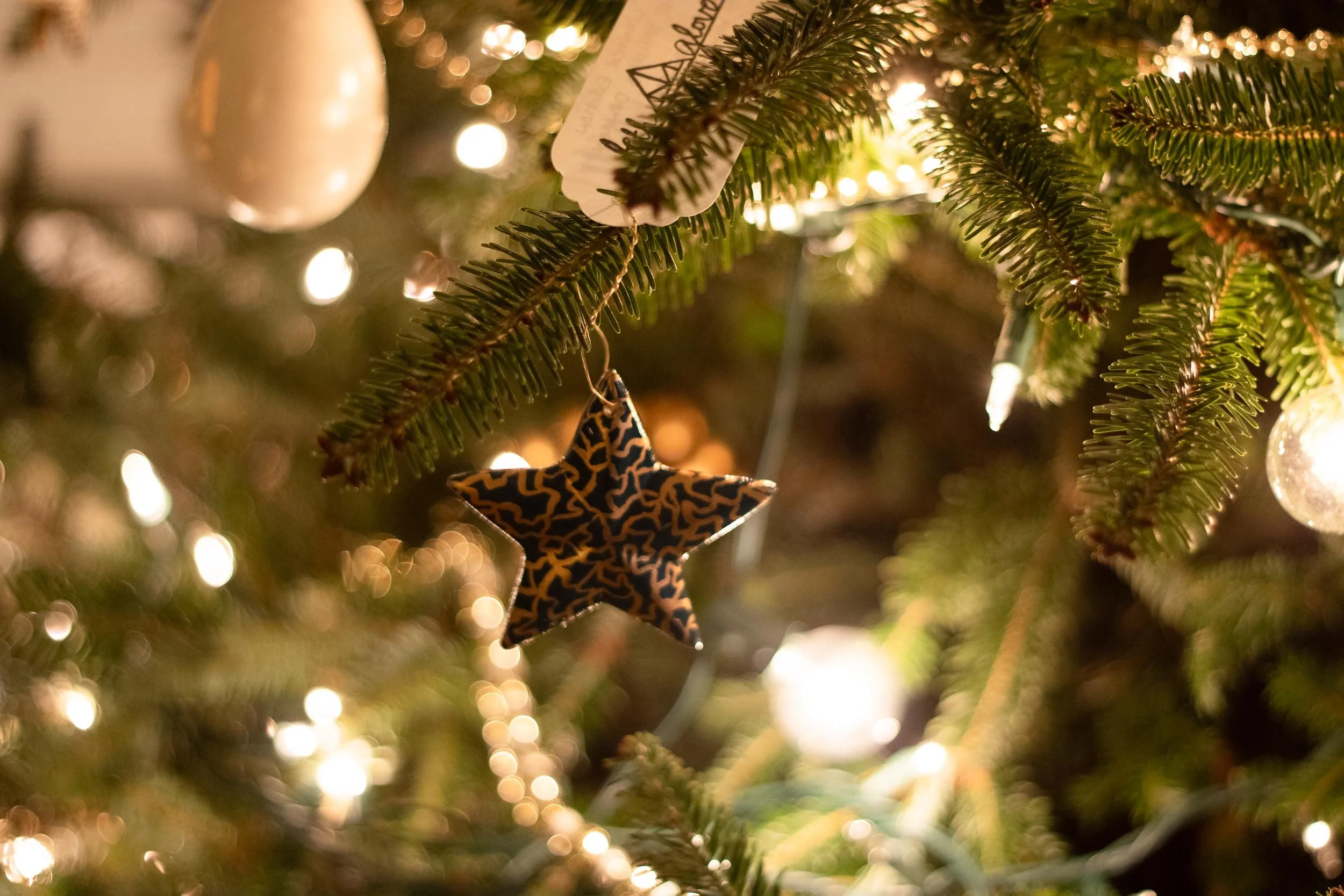 Beveled Star Ornament - on Tree - Web-58.jpg