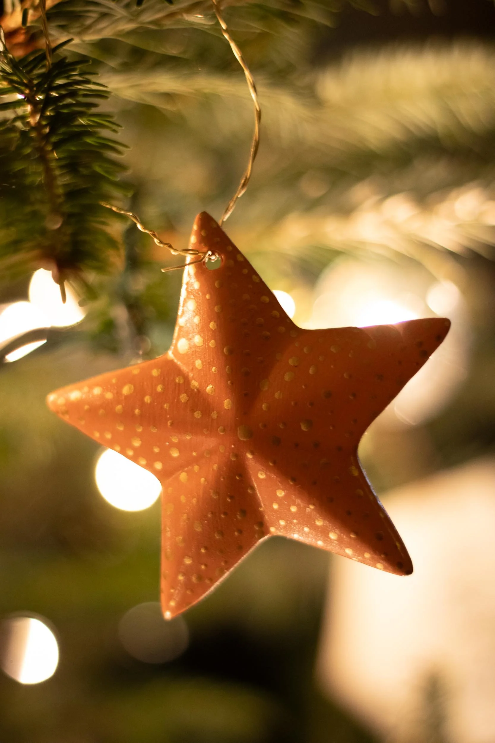 Beveled Star Ornament - on Tree - Web-02.jpg