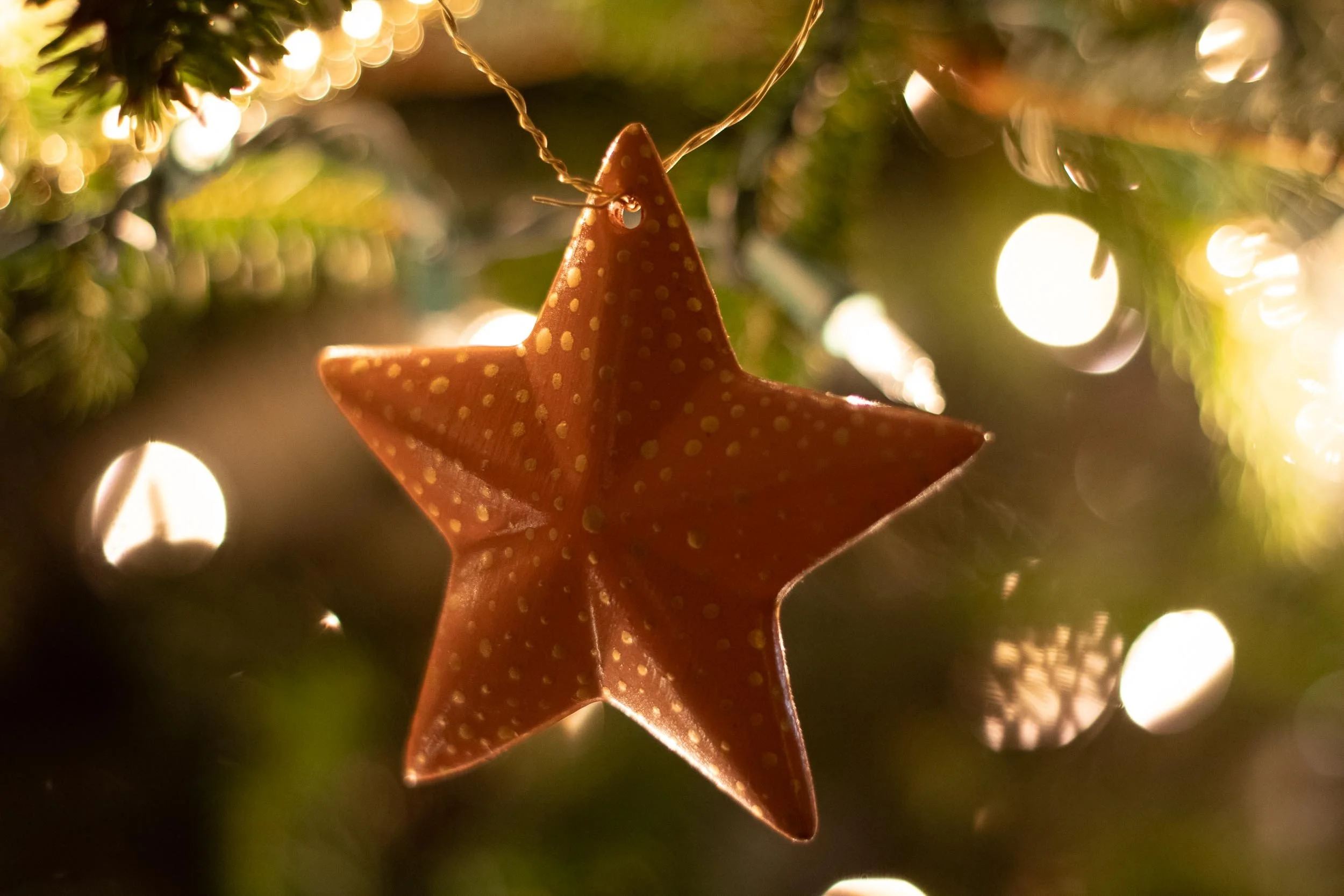 Beveled Star Ornament - on Tree - Web-01.jpg