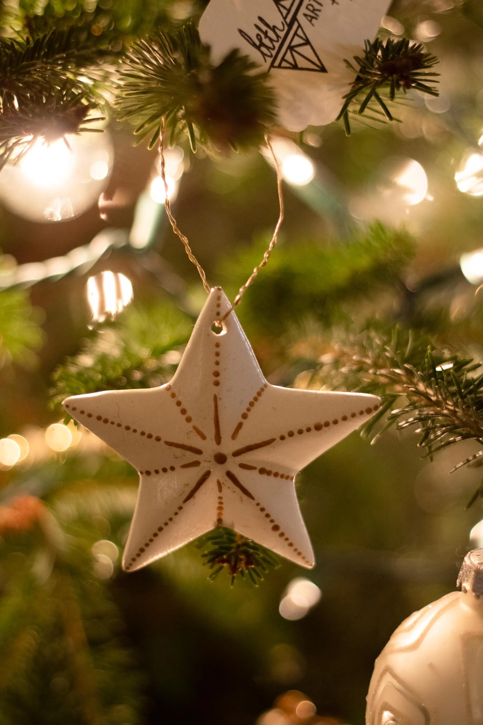 Beveled Star Ornament - on Tree - Web-53.jpg