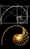 The Spiral Dream