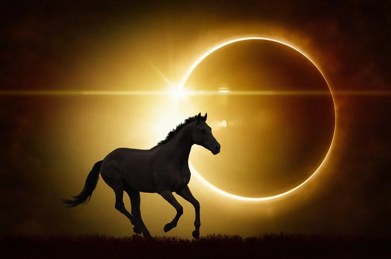 The Most Beautiful (and Powerful) Potential for Change