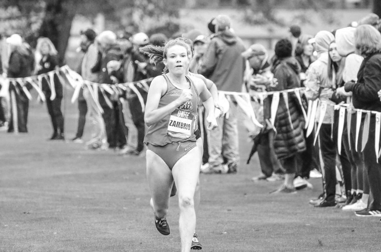 Not Alone: Olivia Zambrio