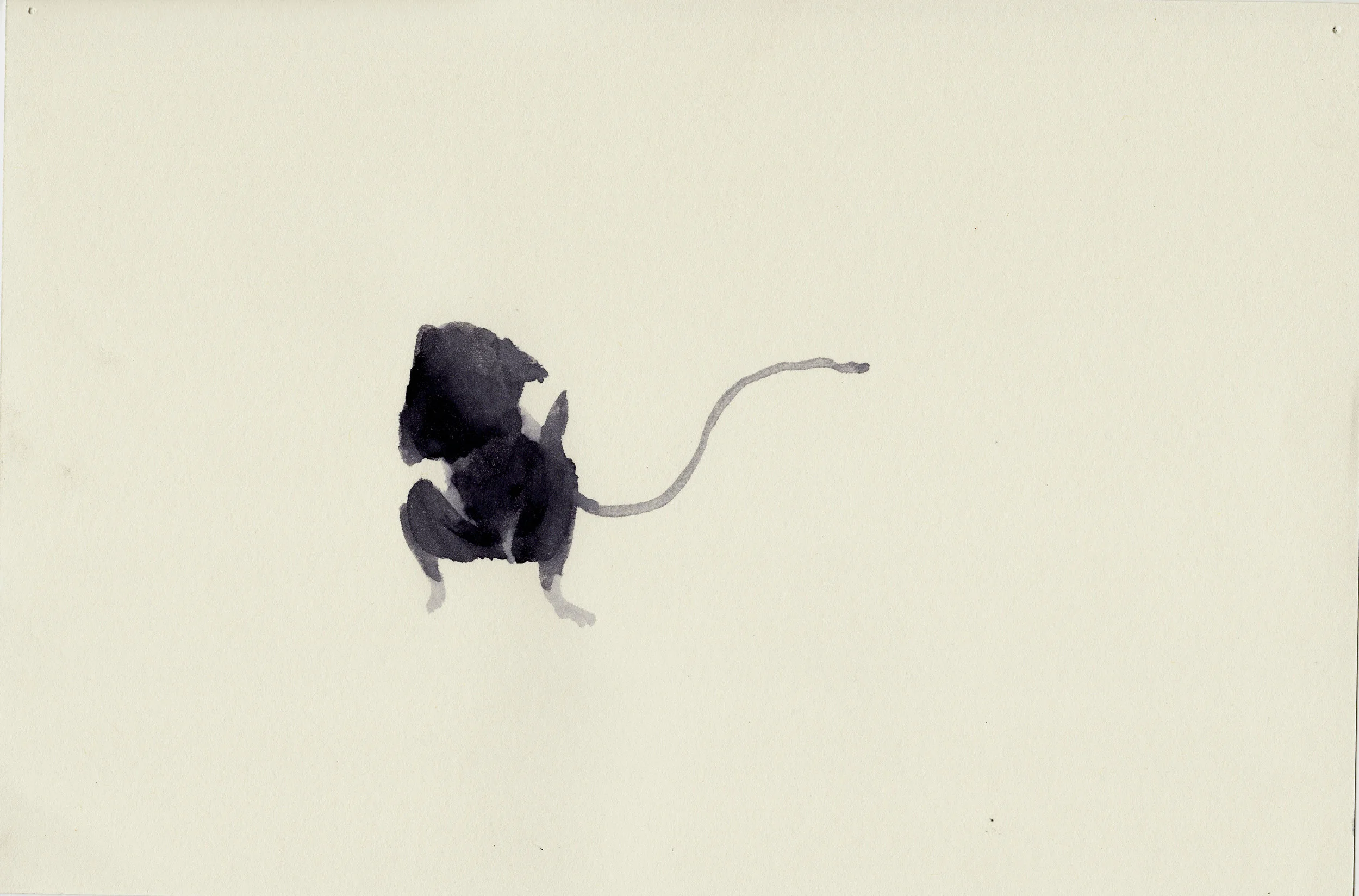 mice14.jpg