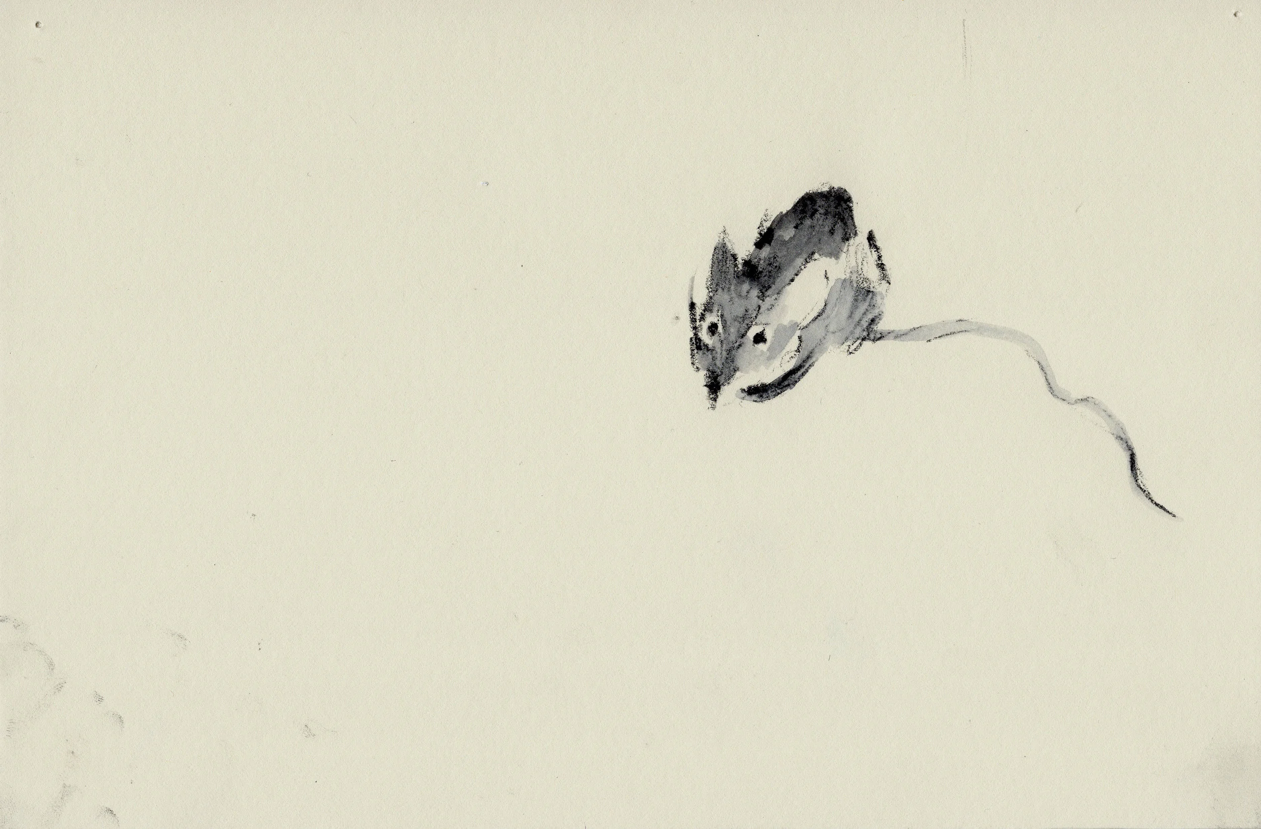 mice24.jpg