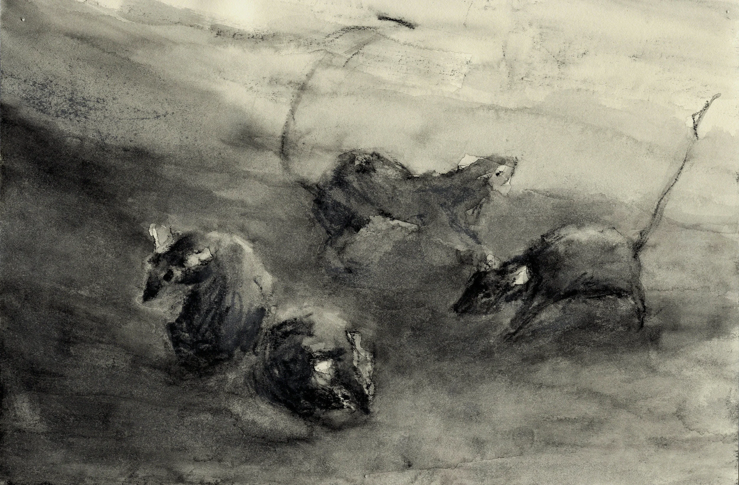 mice3.jpg