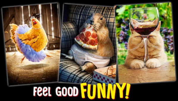        We are generating more smiles and laughs across product categories by bringing the original and compelling Avanti characters and their humorous stories from greeting cards to a multi-product licensing program.       