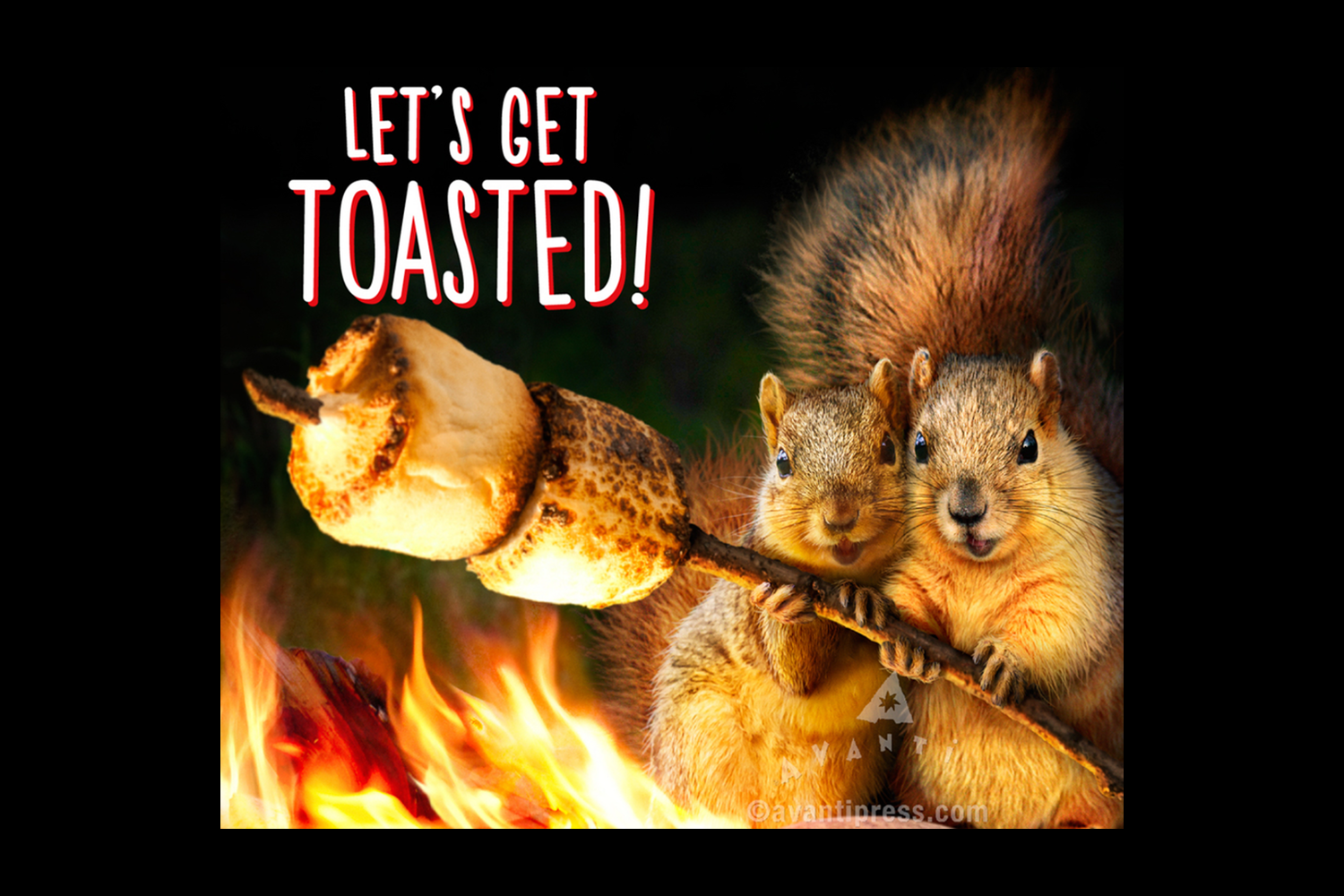 squirrels-roasting-marshmellows.png