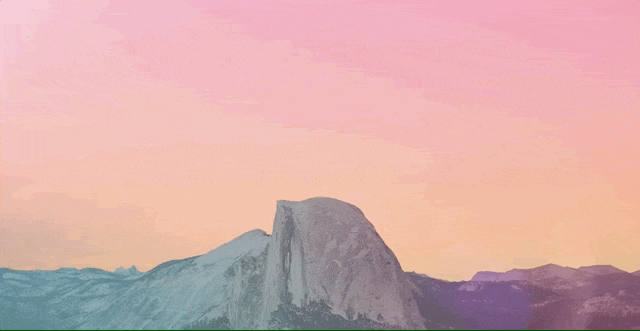 BOF-GIF-640px-min.gif
