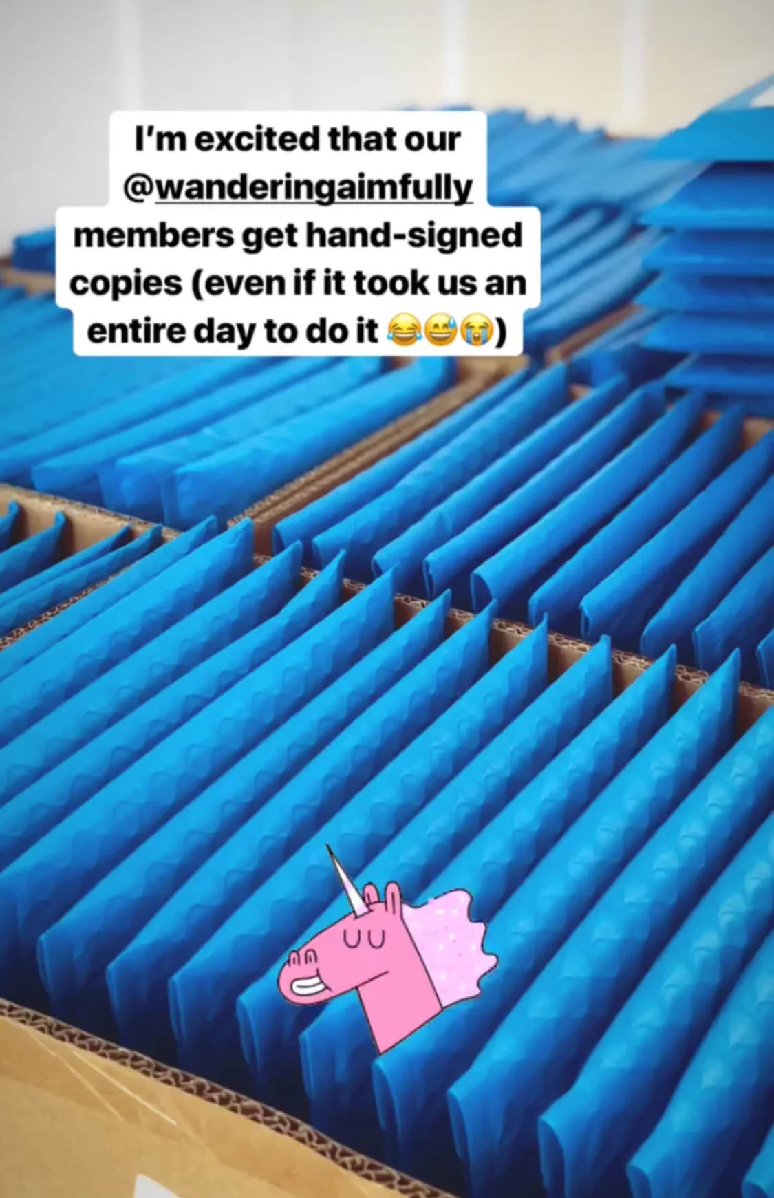 You can't say we don't love our community members! (screengrab from an IG story)