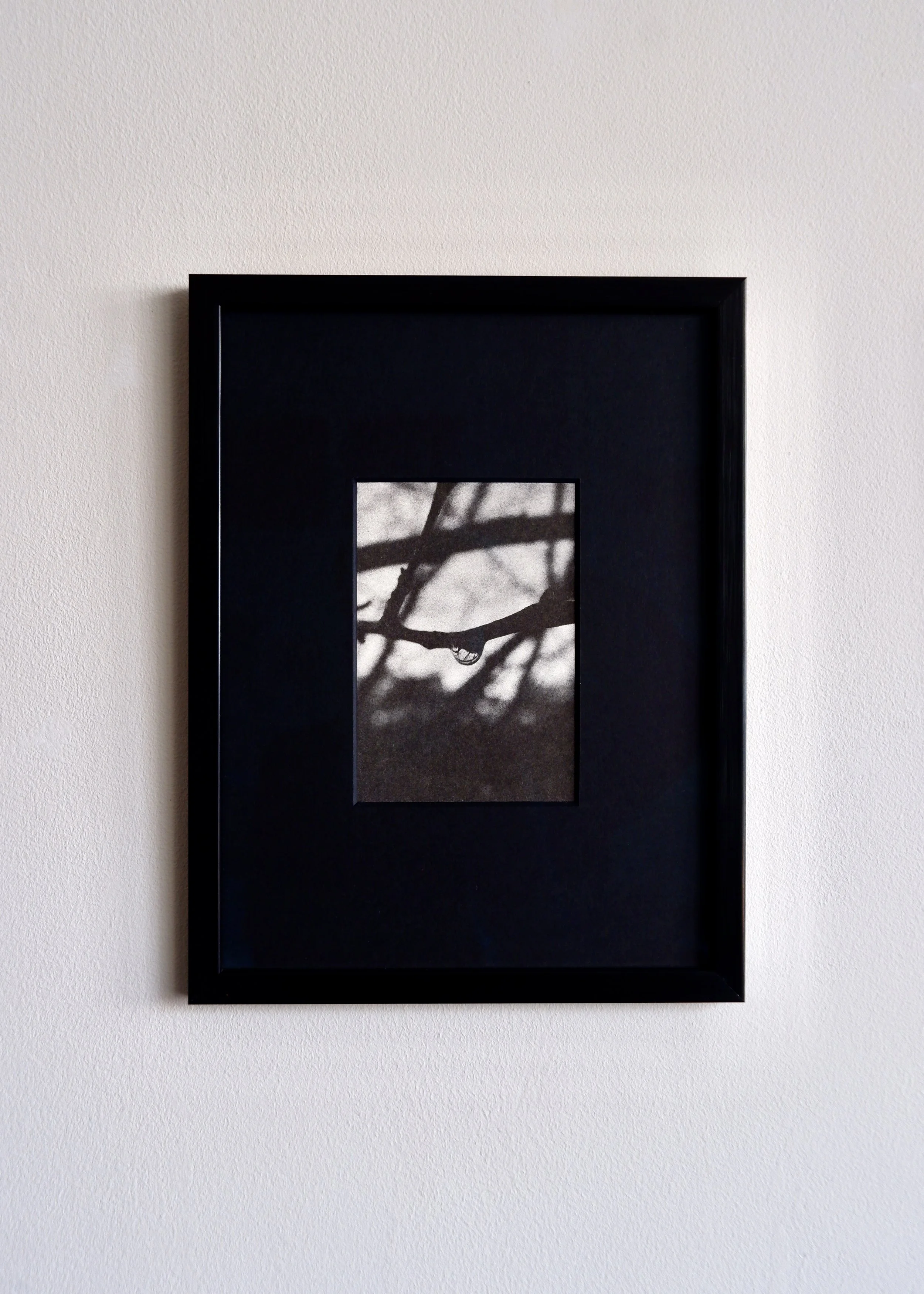 DSCF6191.JPG