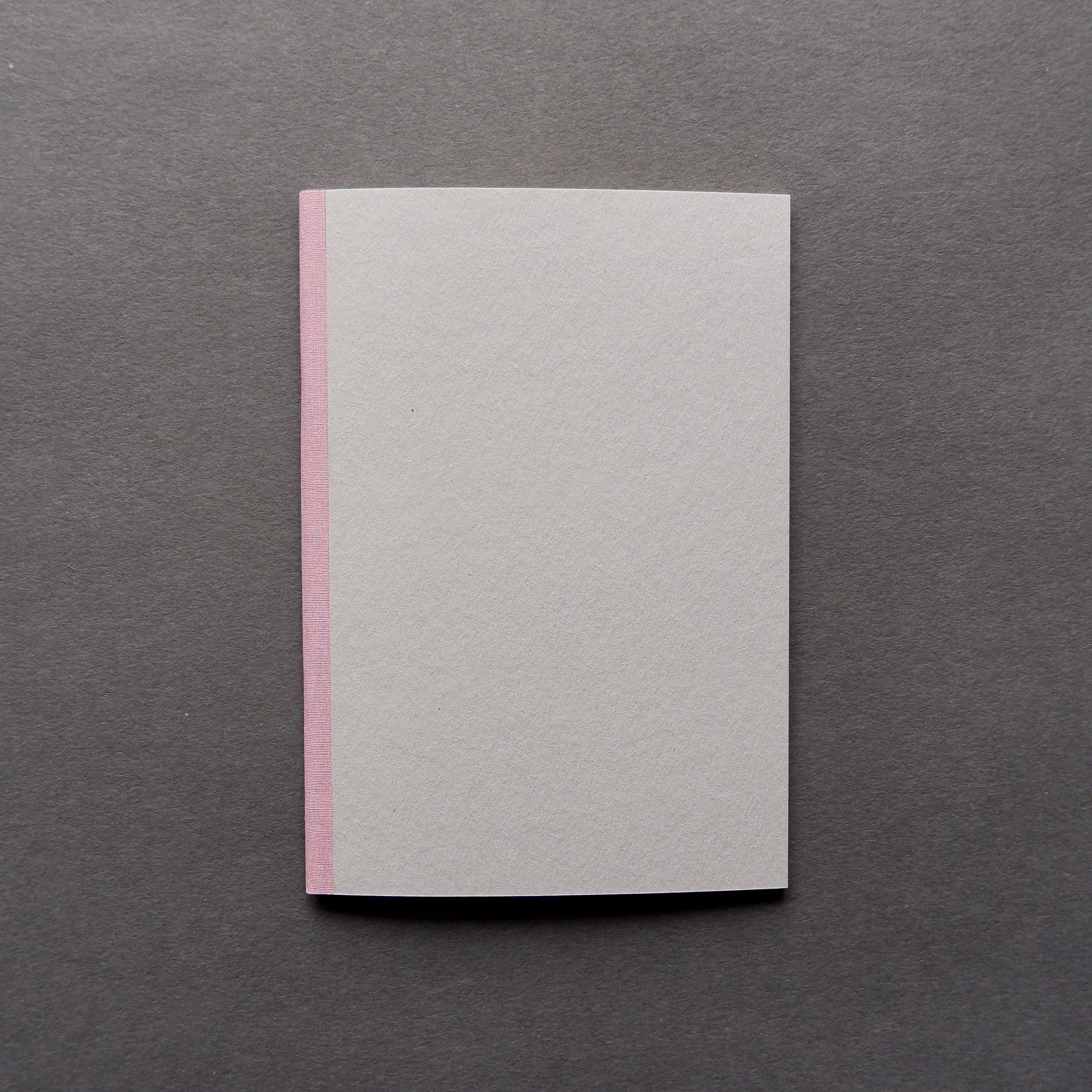 Raúl Pastor Medall - Limestone Gravitas (art book)