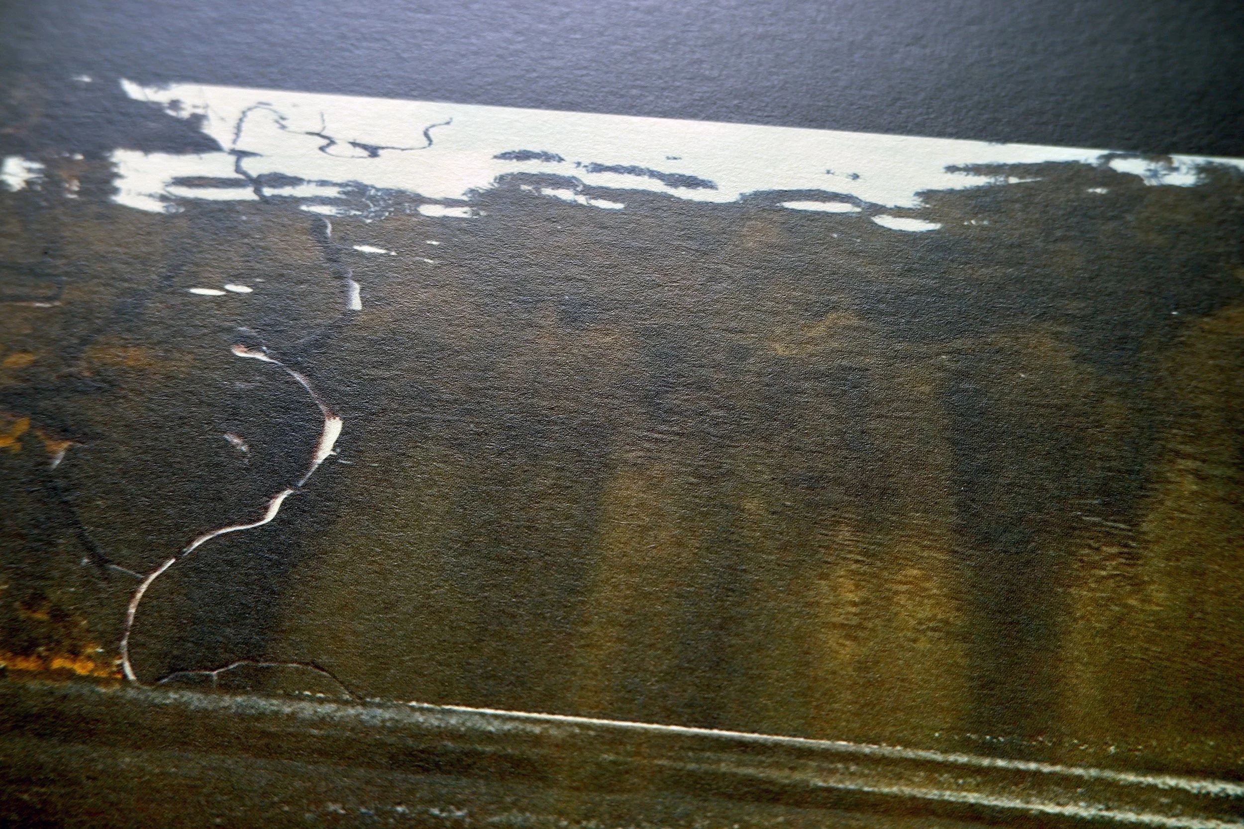Pino-re-4.jpg