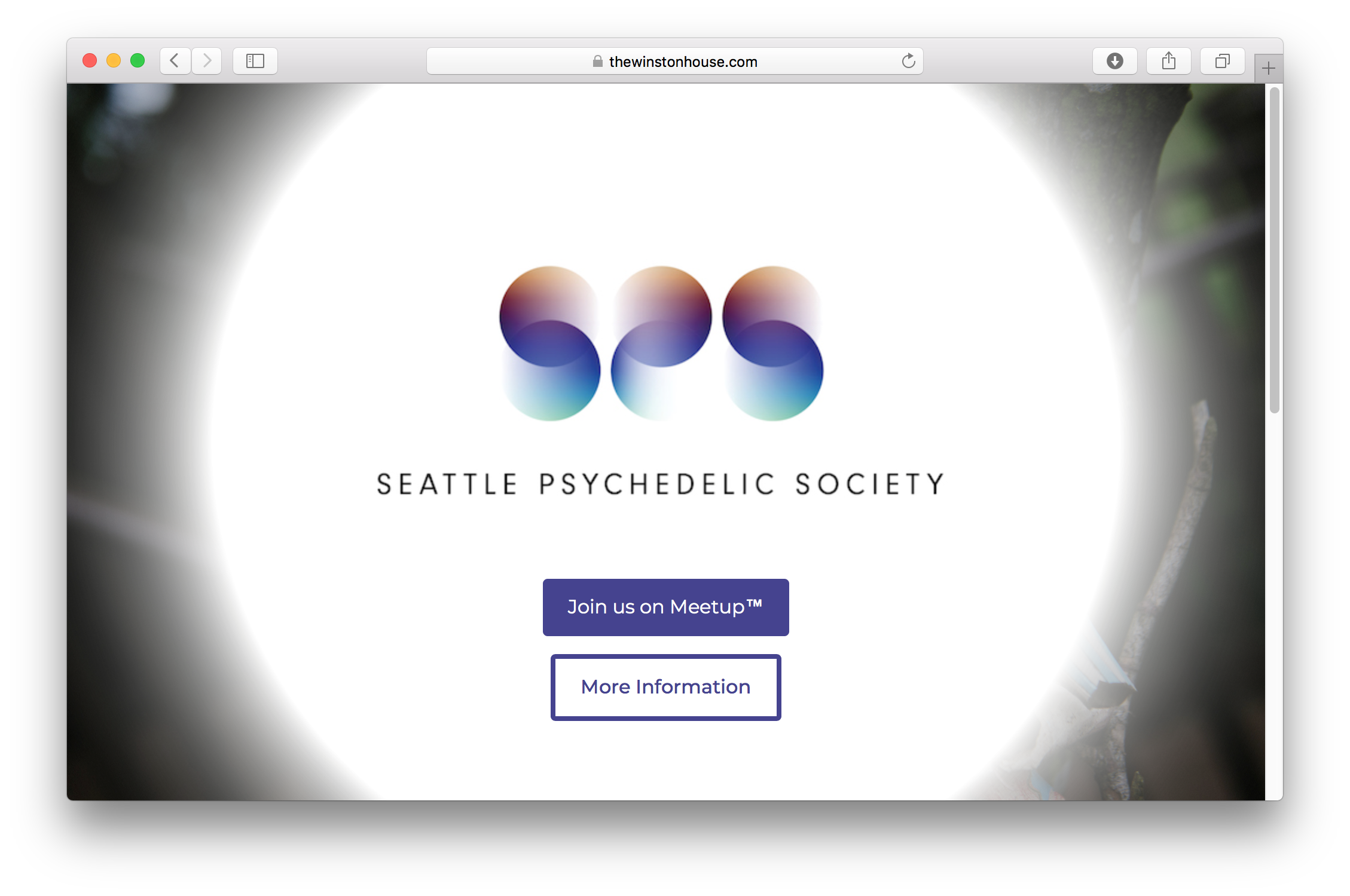 Screen Shot 2018-06-08 at 11.45.04 AM.png