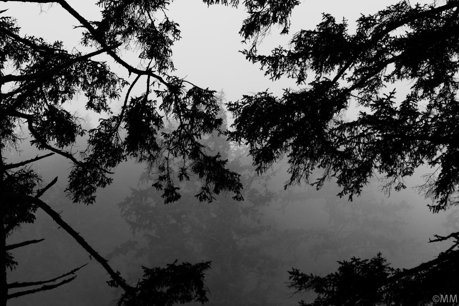 Oregon-B&W-Web-417.jpg