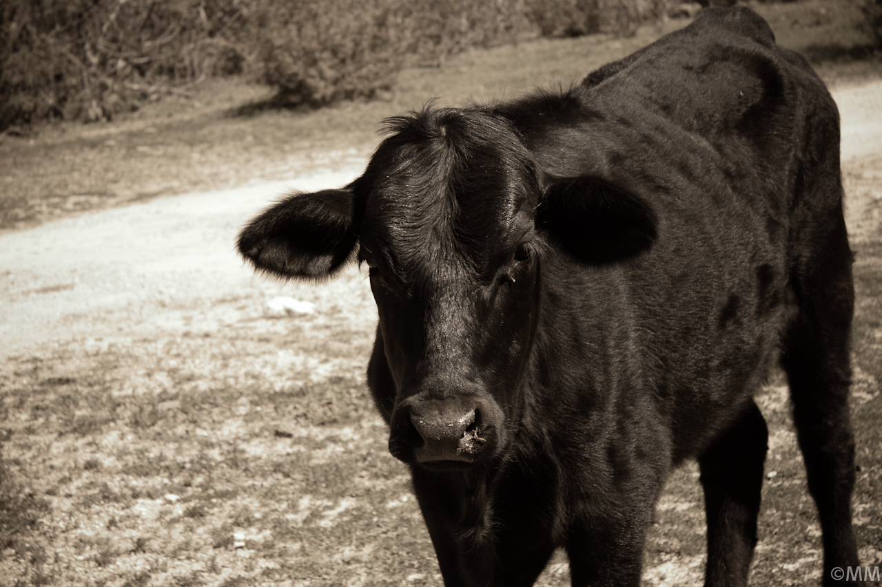 San Antonio Backroads-Web-0321.jpg